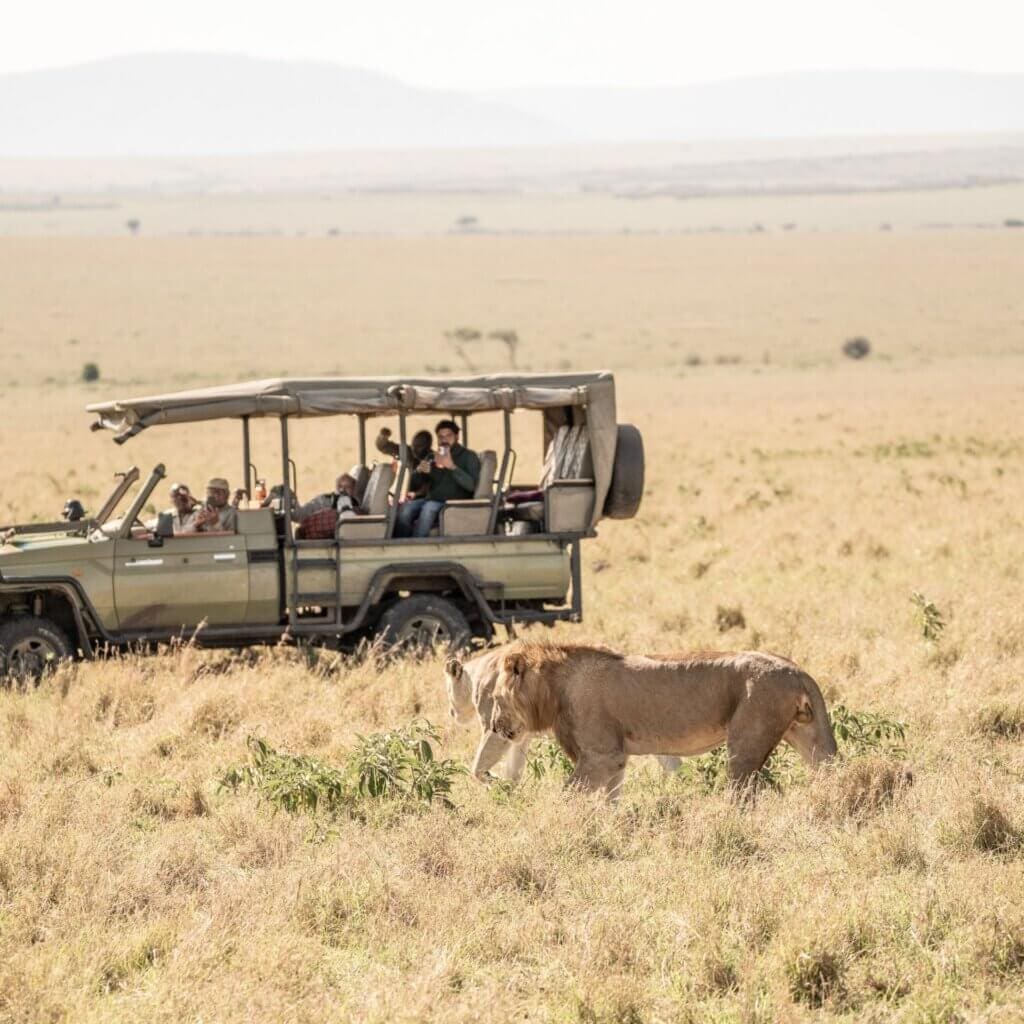  The Best Time of Year for an African Safari Adventure
